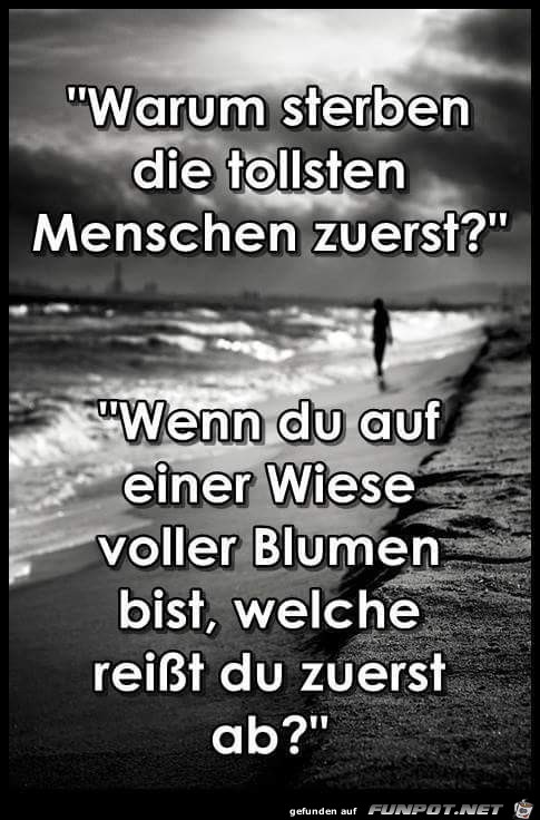 Warum Warum