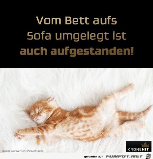 Vom Bett aufs Sofa