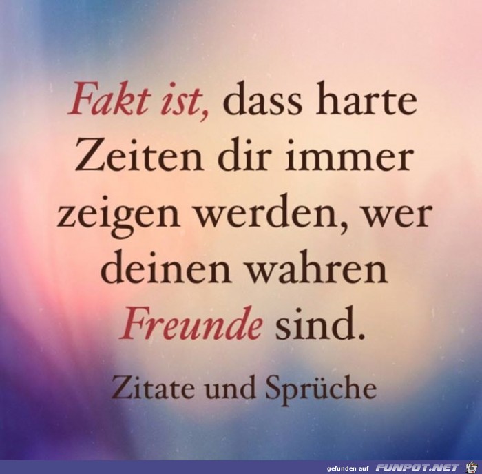 fakt ist