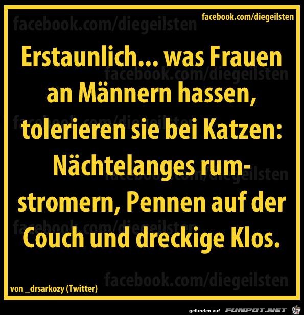 diegeilsten Frauen und Katzen diegeilsten Frauen und Katzen