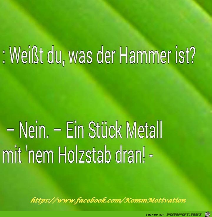 Hammer Hammer
