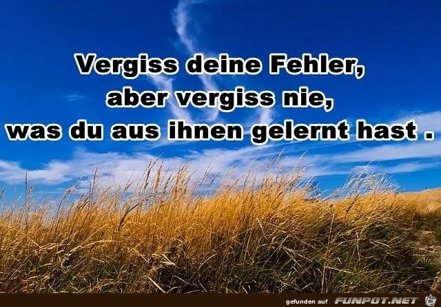 vergiss deine fehler