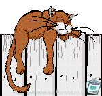 Cat on Fence Cat on Fence