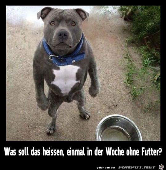 ohne futter