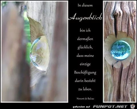 Augenblick 8