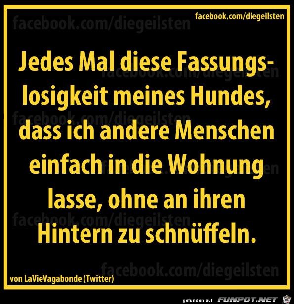 diegeilsten Fassungslosigkeit diegeilsten Fassungslosigkeit