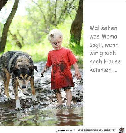 mal sehen mal sehen