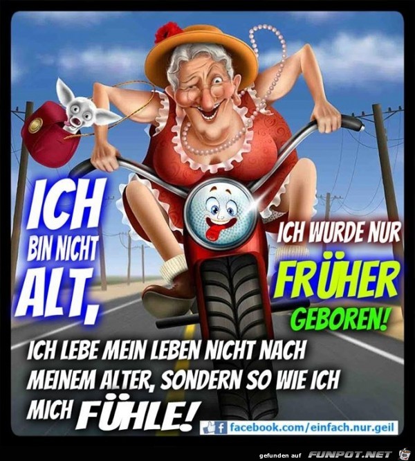 nicht alt