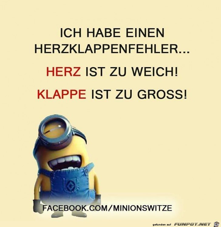 Herzklappe Herzklappe