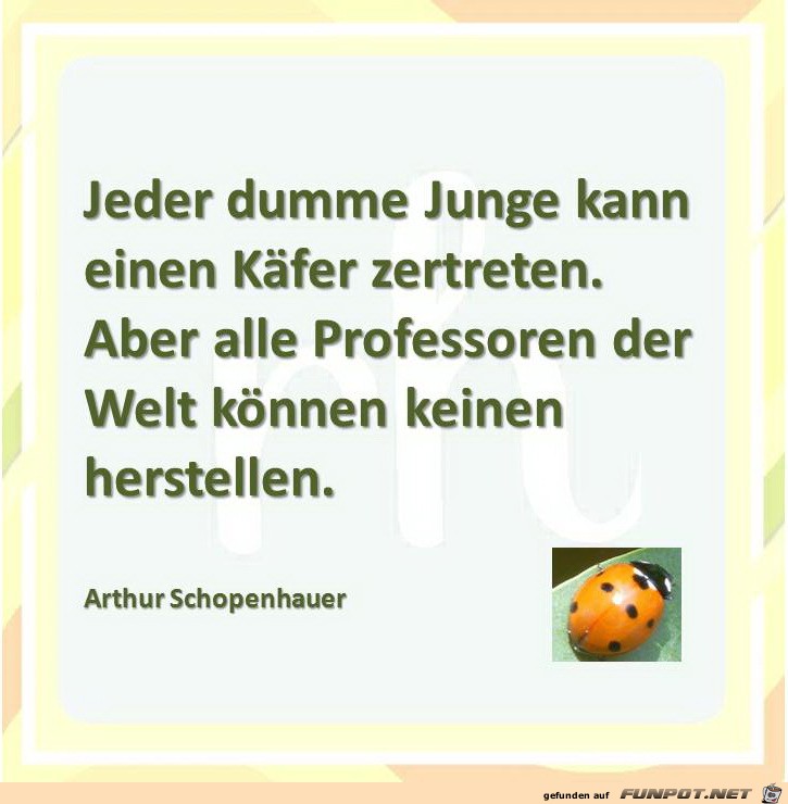 jeder dumme Junge jeder dumme Junge