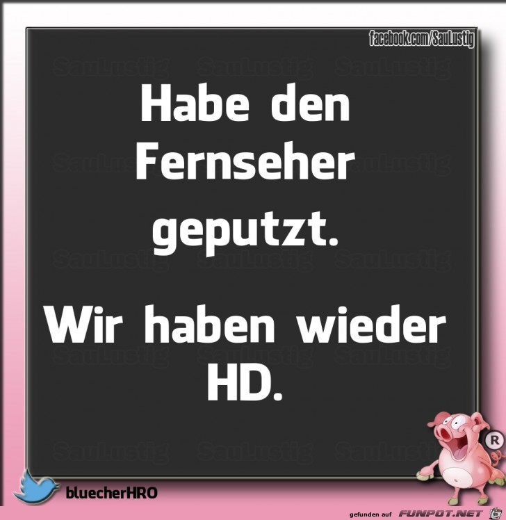 Habe den Fernseher geputzt