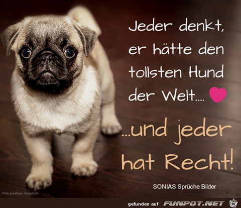 Jeder denkt Jeder denkt