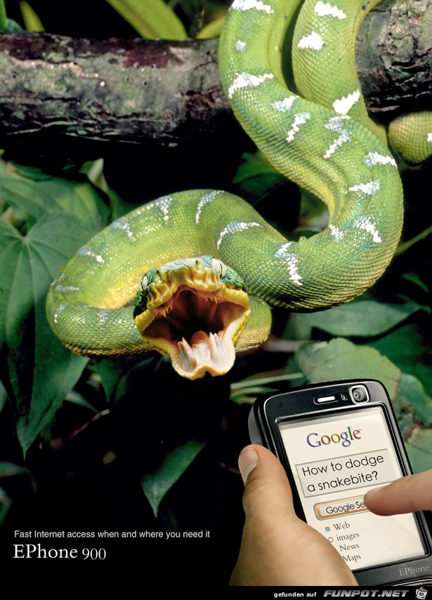 snakebite snakebite