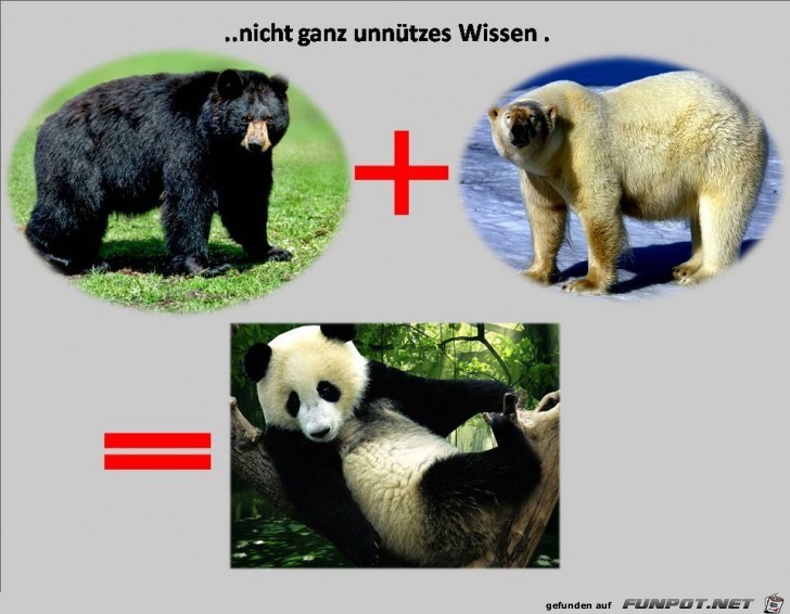 nicht ganz nicht ganz
