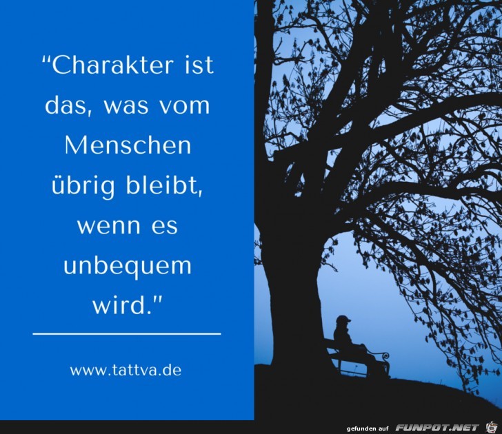 Charakter ist