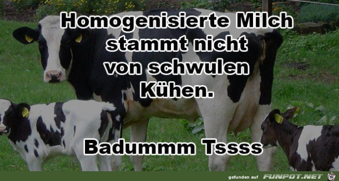 milch
