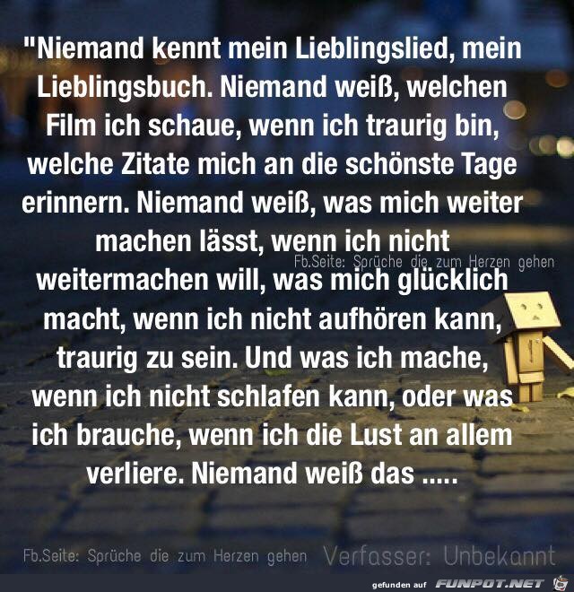 Niemand kennt mein Lieblingslied Niemand kennt mein Lieblingslied