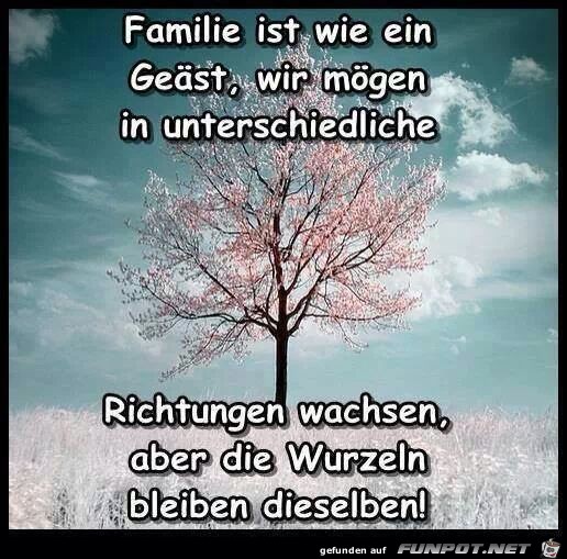 Familie ist wie ein geaest