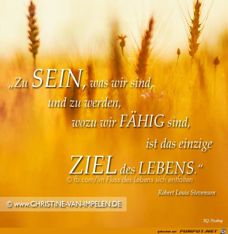 Zu Sein Zu Sein