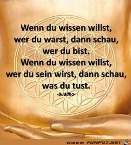 wissen