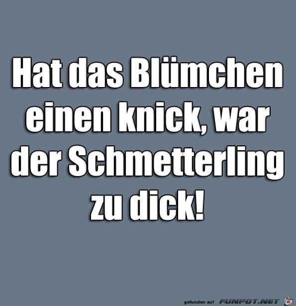 Blümchen Blümchen