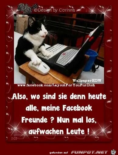 aufwachen leute aufwachen leute