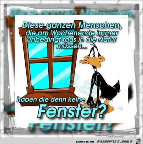 Fenster Fenster
