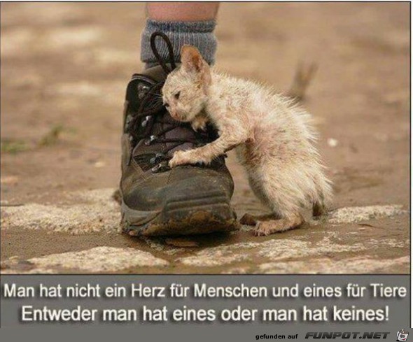 entweder entweder