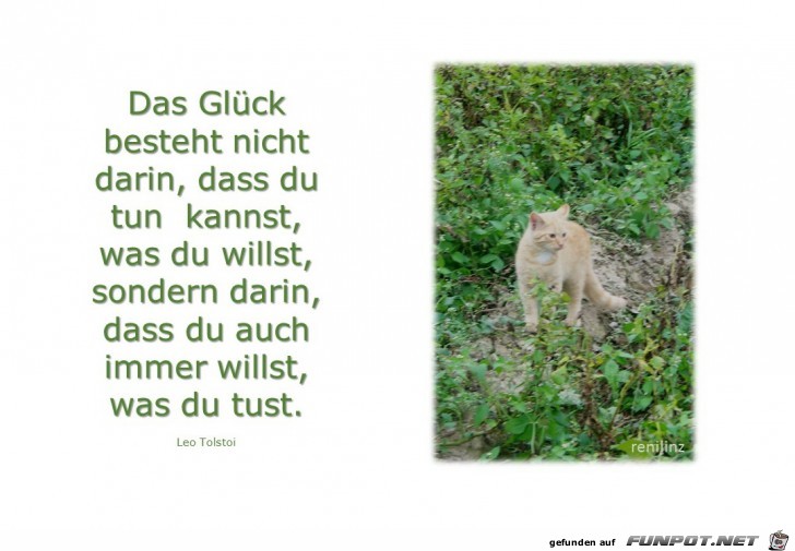 Das Glück Das Glück