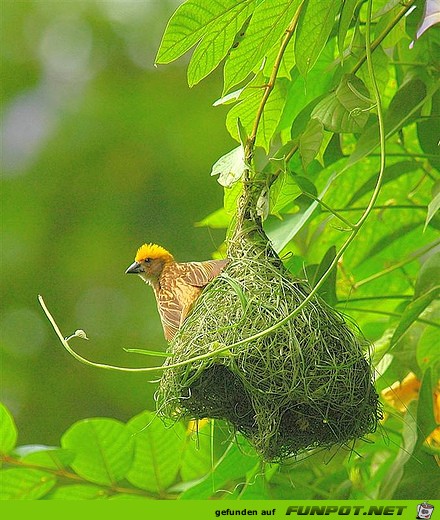 image001121 image001121