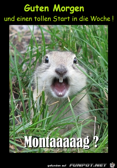 montag 01 montag 01