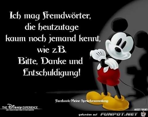 Ich mag Fremdwoerter Ich mag Fremdwoerter