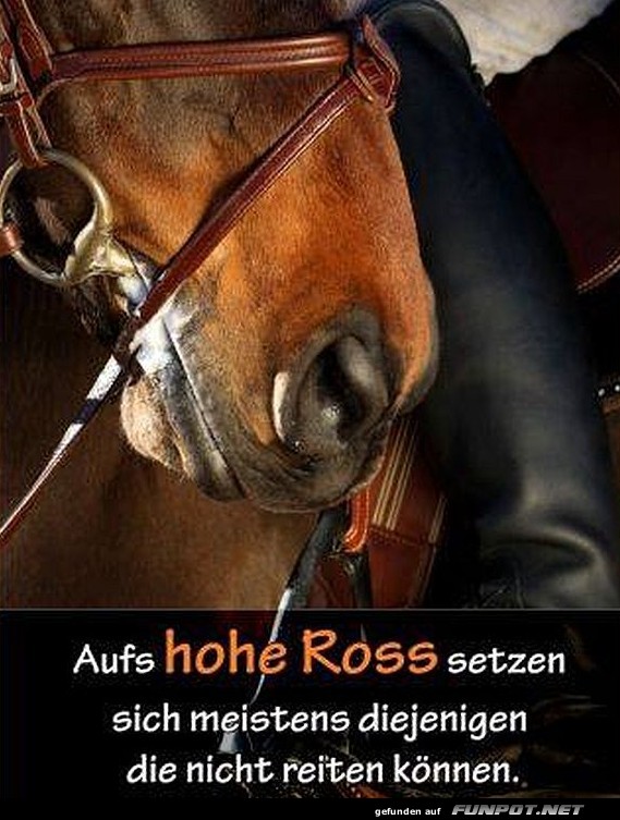 10 schöne Sprüche und Lebensweisheiten aus... 10 schöne Sprüche und Lebensweisheiten aus...