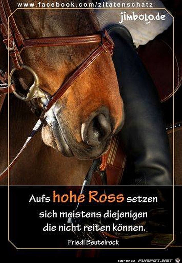 Hohe Ross