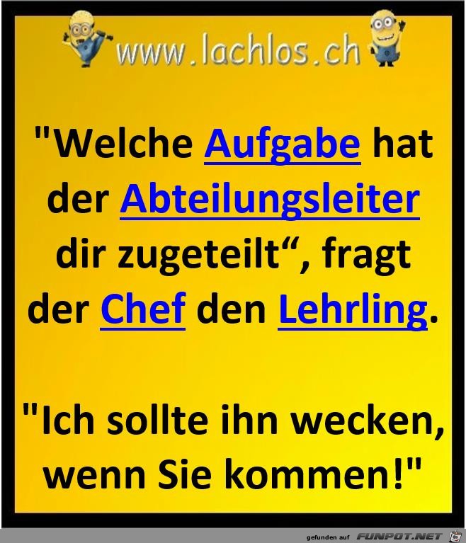 die Aufgabe