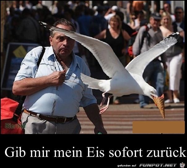gib mir mein Eis gib mir mein Eis