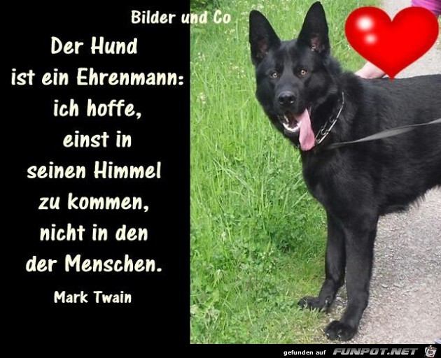 ehrenmann ehrenmann