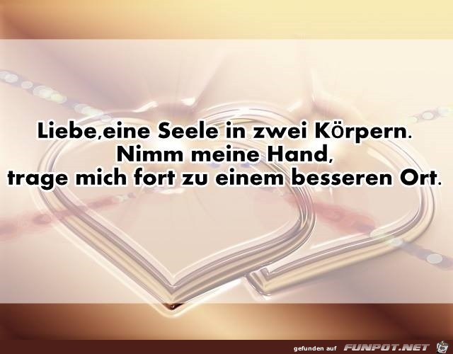 liebe - eine seele