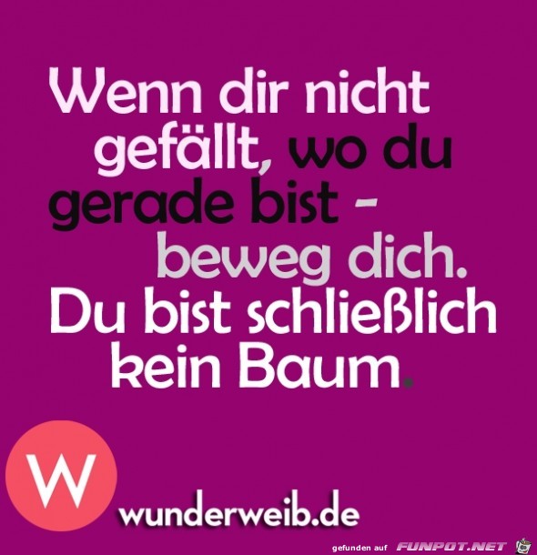 kein Baum kein Baum