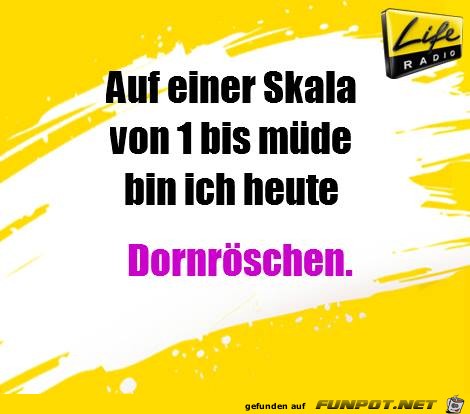 Dornroeschen Dornroeschen
