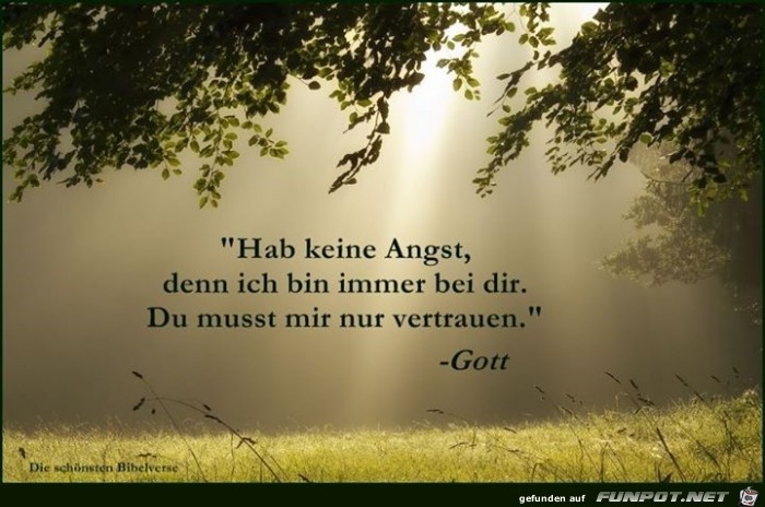 hab keine Angst hab keine Angst