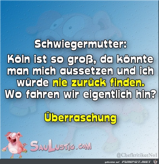 Meine Schwiegermutter Meine Schwiegermutter