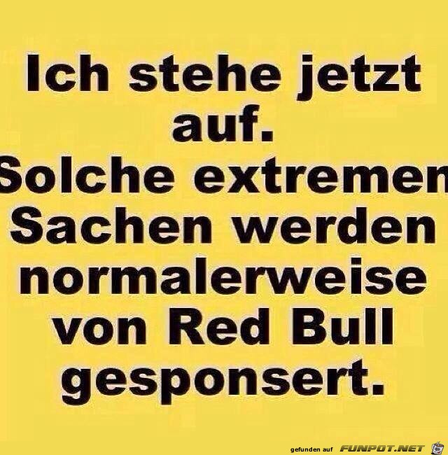 Red Bull Red Bull