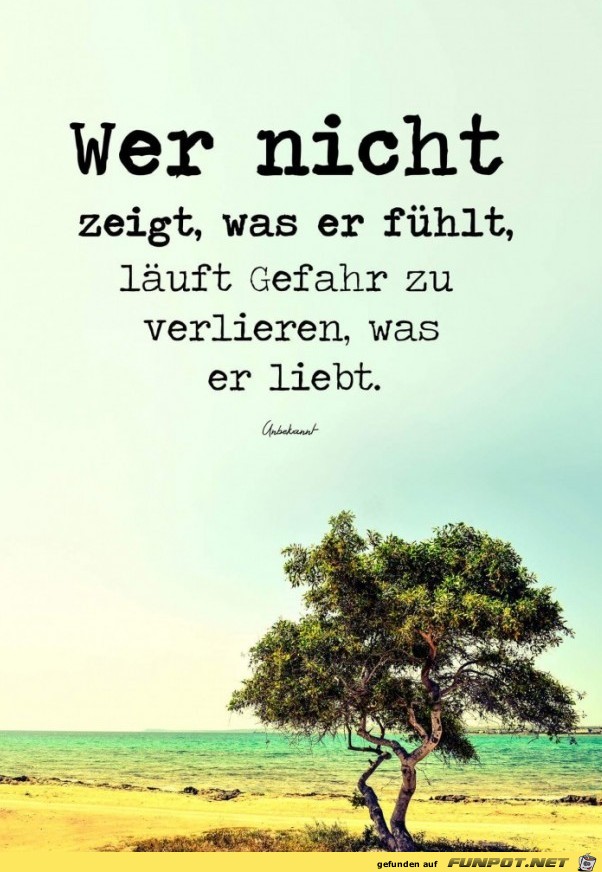 wer nicht zeigt wer nicht zeigt