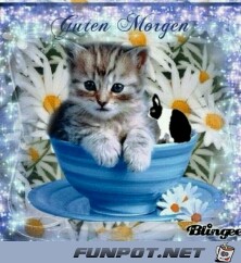 guten Morgen guten Morgen