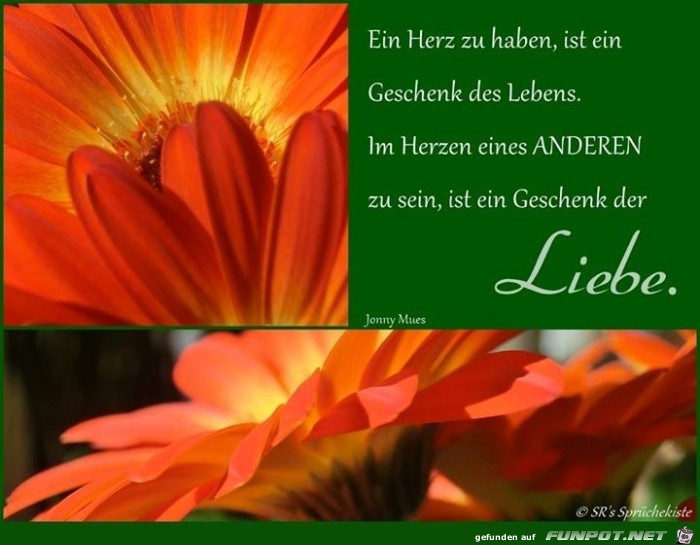 liebe 7