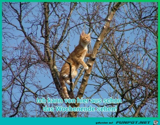 sehen sehen