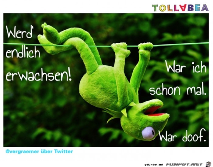 erwachsen erwachsen
