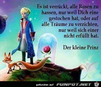 der kleine Prinz