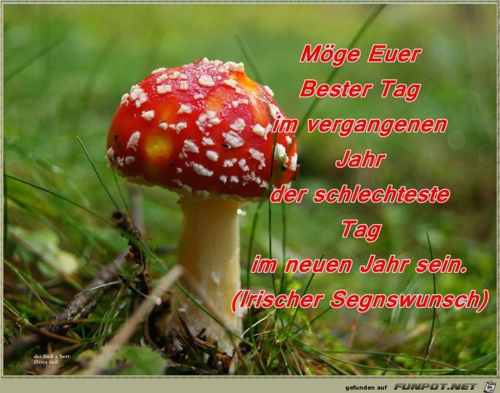 moege euer bester tag